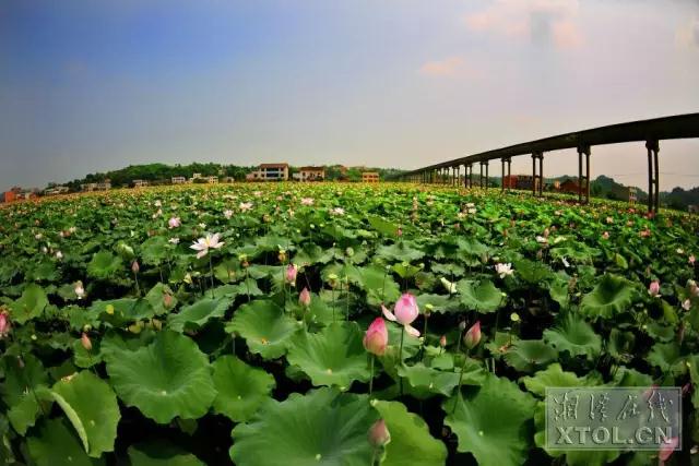 总投资145亿!湘潭这5个特色小镇要火!有没有你的家乡?