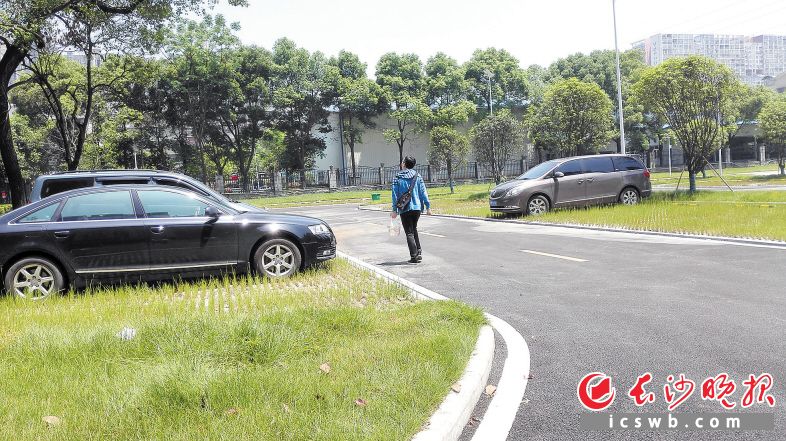 花城社区这个昔日垃圾遍地“围而未建”的闲置地，如今变成满目绿色的生态停车场。长沙晚报记者 周和平 摄 