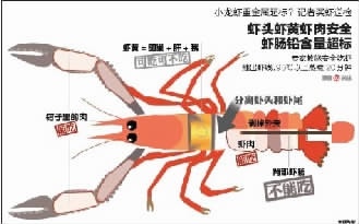 爱吃龙虾的你,知道如何挑选小龙虾吗