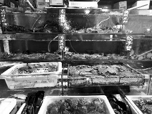 大洋路海鲜市场，到处售卖绑着粉色吸水皮筋的螃蟹。