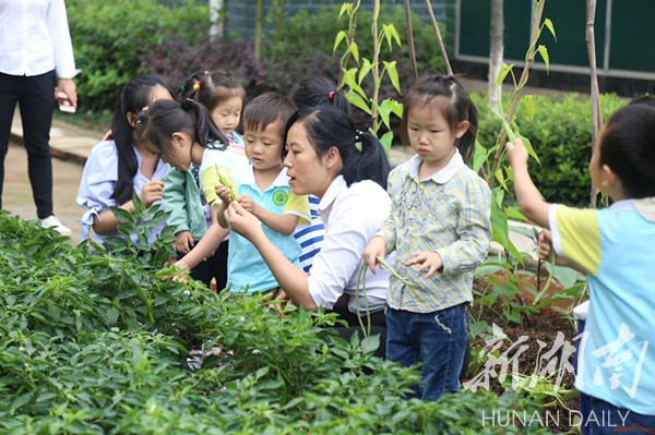 湘潭县云龙国际幼儿园:优质课程创特色 精细管