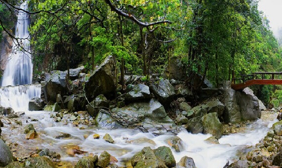 神农谷国家森林公园（炎陵县）神农谷国家森林公园位于株洲炎陵县东北部，森林公园位于中亚热带季风湿润气