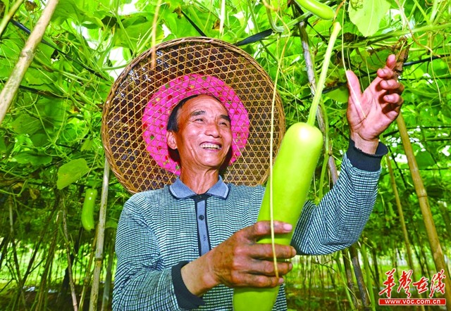 9.34亿扶贫款!看看你的家乡发多少