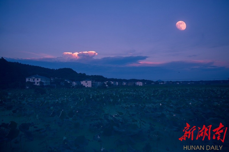 月光下村落,诗意里的荷田-南岳水帘洞