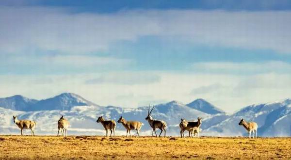 58.jpg?x-oss-process=style/w7