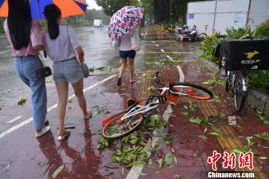 深圳共享单车被大风刮倒处处可见。 陈文 摄