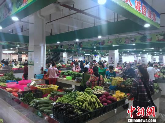 海口市民生活未受降雨影响，农贸市场个别蔬菜出现小幅上涨。 王子谦 摄