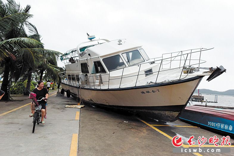 ↑8月23日，在珠海香洲港附近，骑车人经过一艘被冲上岸的游艇。新华社记者卢汉欣 摄
