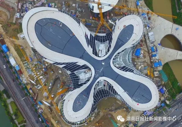 全世界最大的芙蓉花建筑在长沙首次开放! - 焦