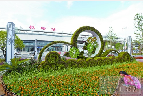 造型新颖的城市绿雕。 (本报记者 陈旭东 摄)