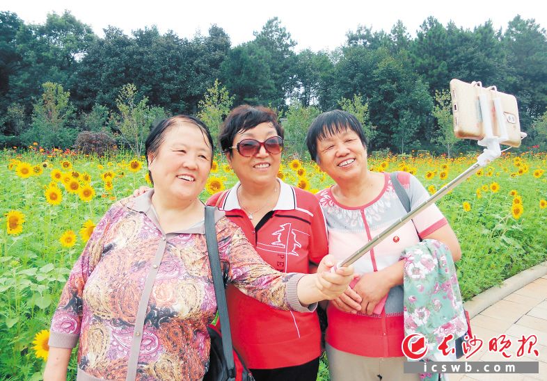 植物园内，游客以向日葵“花海”为背景玩着自拍。