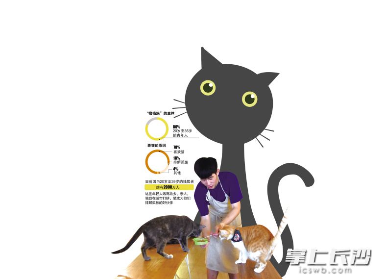 猫主题咖啡厅内,顾客可以体验为猫咪喂食的乐趣。长沙晚报记者 刘琦 摄