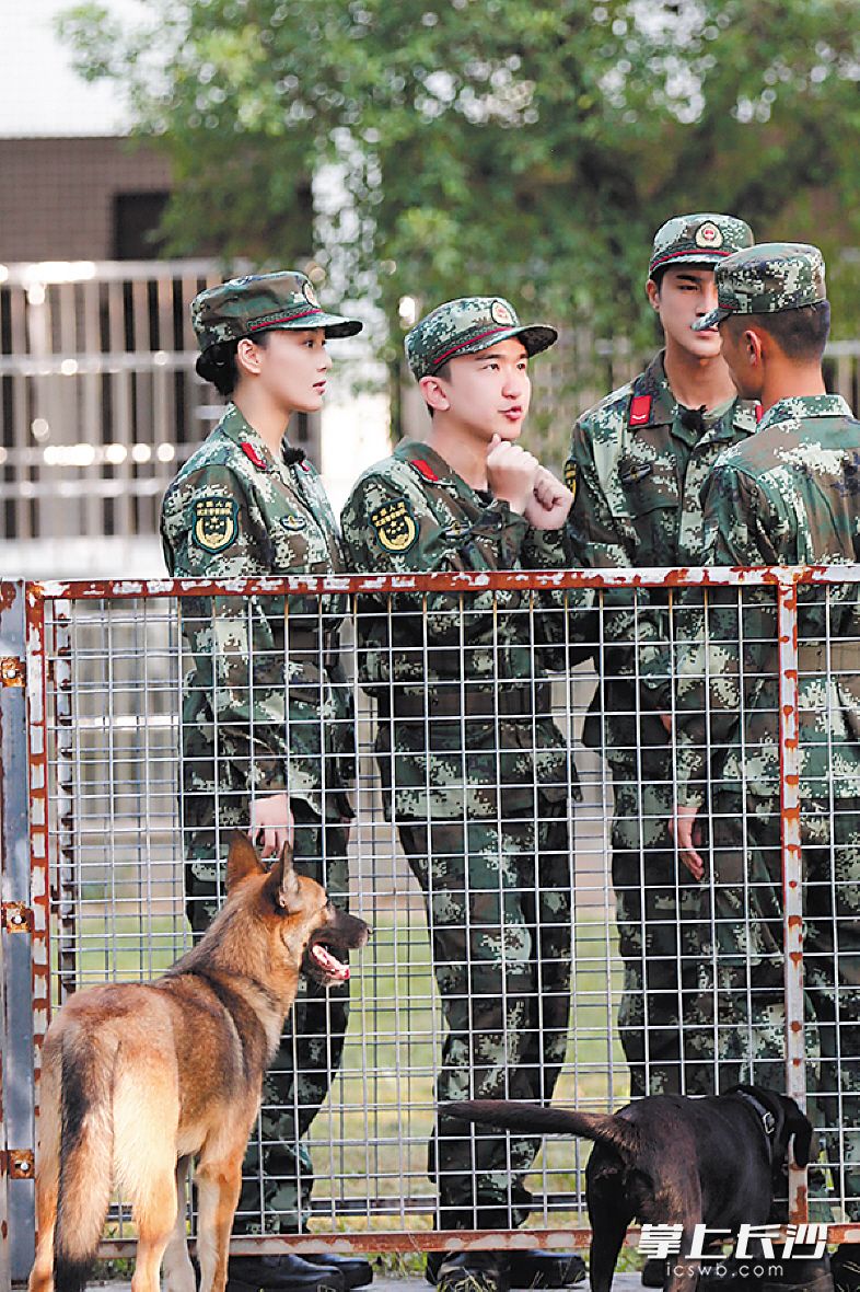 张大大（左二）细心咨询如何与犬接触。资料图片