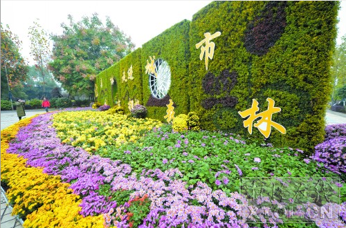 市民在观赏菊花造型。(记者 陈旭东 摄)