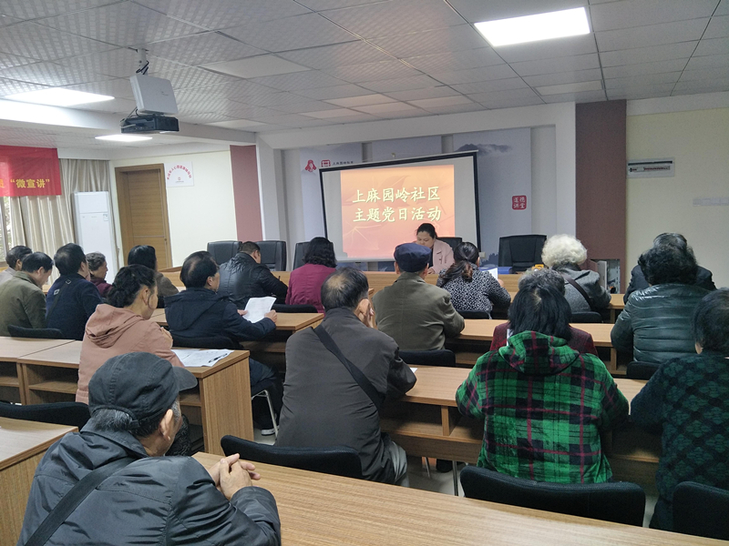 上麻园岭社区开展主题党日活动学习十九大精神