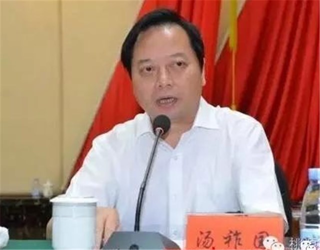 汤祚国:别了,桃源!