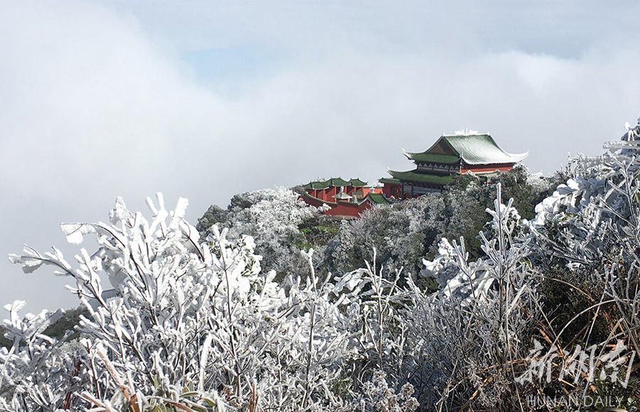 12月17日,宜章县莽山国家森林公园迎来入冬以来的首场雾淞景观.