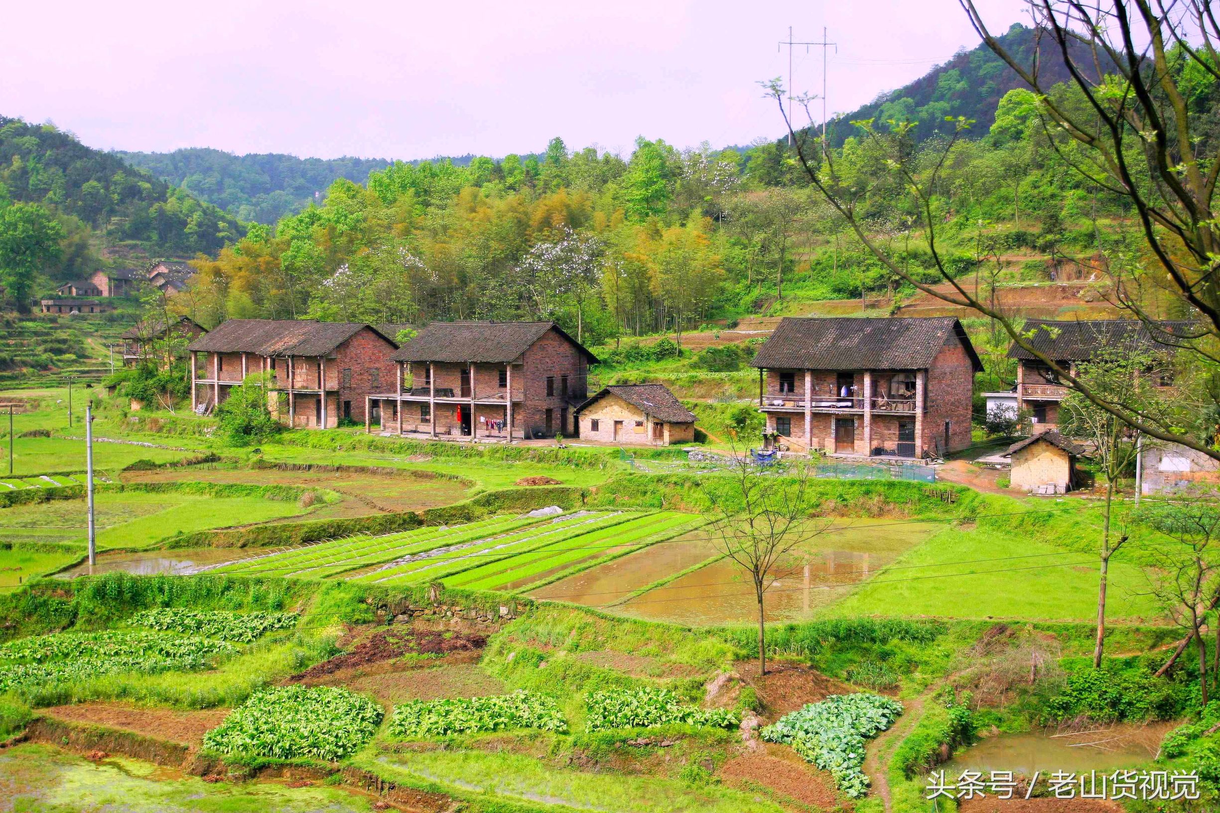 湘潭:回归田园风光,寻觅乡情乡愁 - 湘潭 - 新湖南