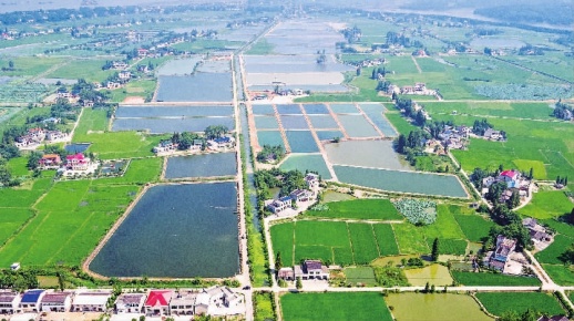 风好正是扬帆时--看长沙现代农业综合配套改革试验区产业之变