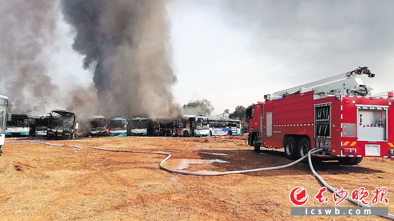 火灾引燃并排停放的报废车，浓烟滚滚。长沙晚报通讯员 文鸽 摄
