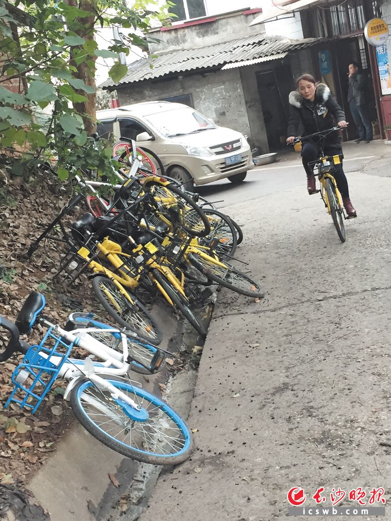 共享单车随意停放路边，给行人和机动车通行造成不便。 长沙晚报帮帮团记者 谢春年 摄 
