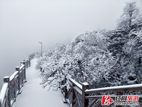 天门山降下2018年第一场雪冷酷仙境如同异世界