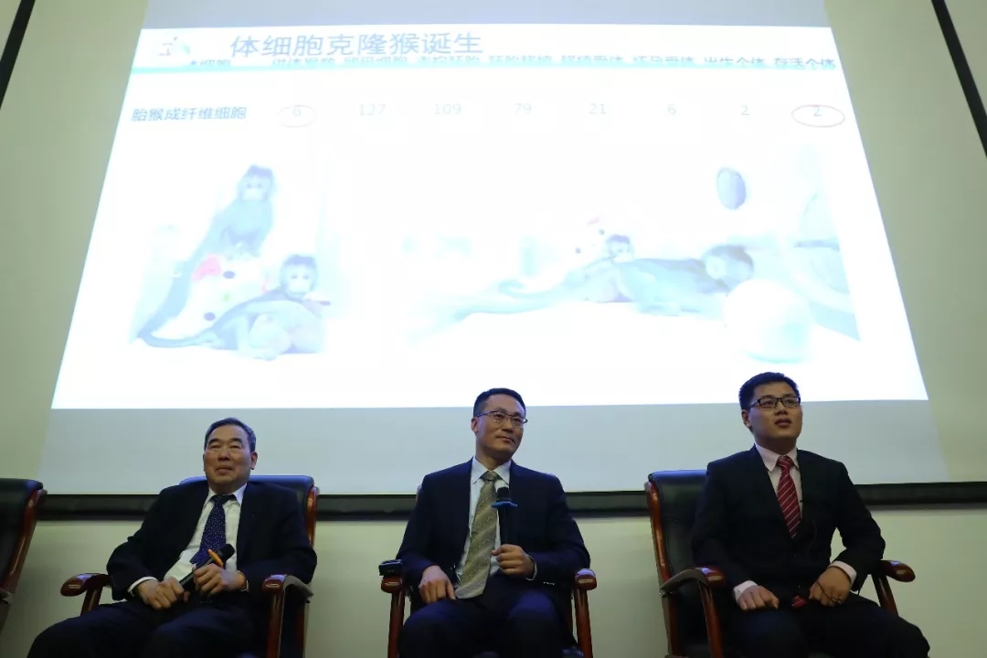 世界生命科学重大突破! 两只克隆猴在中国诞生 新湖南www.hunanabc.com