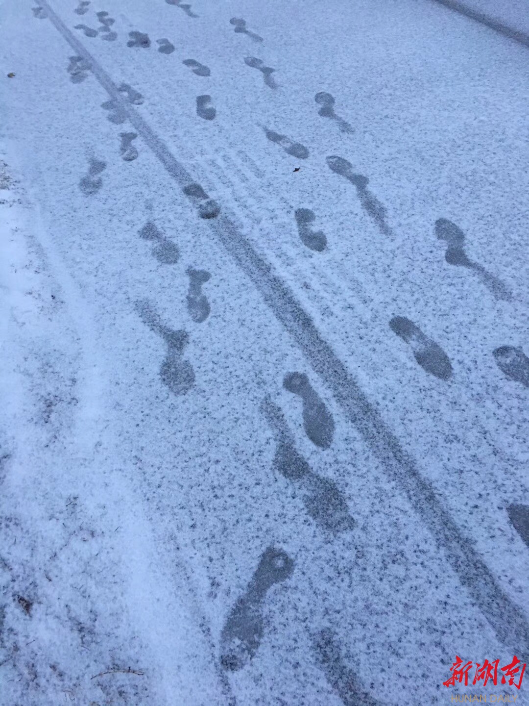 快去雪地里留下自己的脚印吧!(网友 摄)