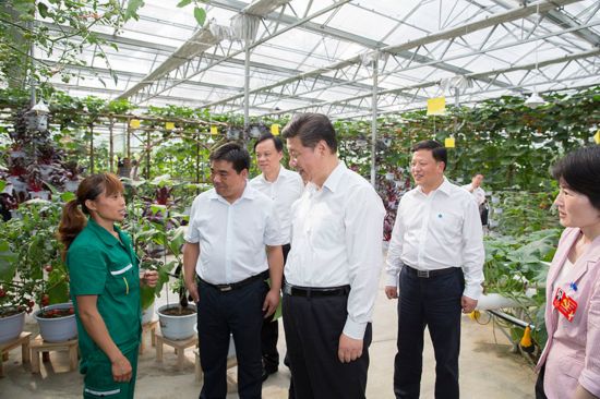 2015年6月16日下午,习近平在遵义县枫香镇花茂村的现代高效农业智能温控大棚,向正在劳动的村民了解增收致富情况。新华社记者 黄敬文 摄