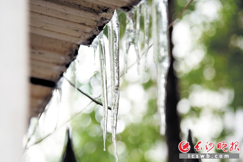 冰雪融化桥梁屋檐产生冰凌交警提醒市民小心暗器伤人