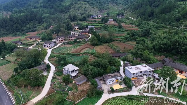 走进桑植县官地坪镇富平村,群山环抱,绿树掩映,一座座庭院清新亮丽,一