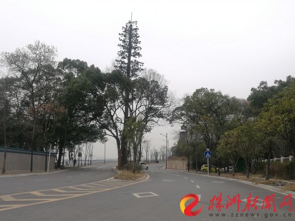 河东风光带沿江路仍保留了原有的绿化