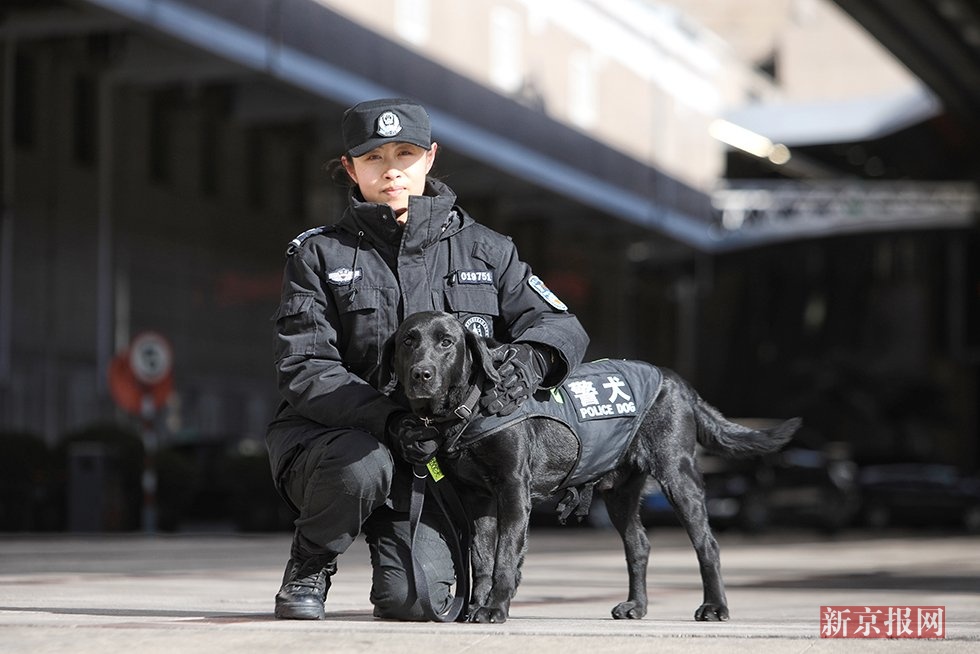 2014年,张灵成为北京铁路公安局第一支女子警犬队成员.