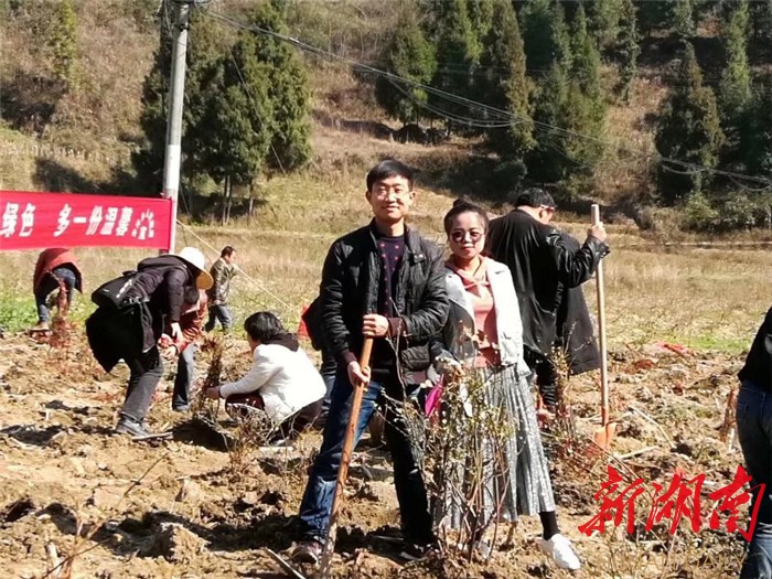 龙山县茅坪乡植树活动,为家乡"创森"贡献一份力量