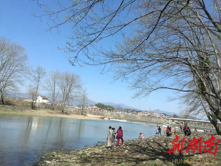 "一村一景"看达浒 浏阳市"春*赏花季"在达浒镇启动