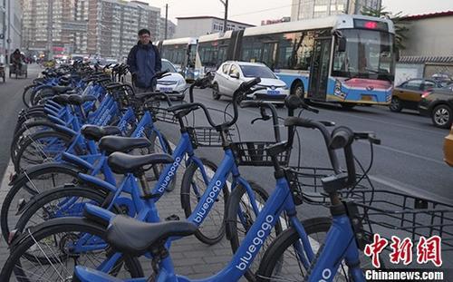 资料图：北京街头的小蓝单车。<a target='_blank' href='http://www.chinanews.com/'>中新社</a>记者 贾天勇 摄