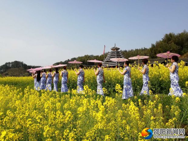 春意盎然的“百亩油菜花走廊”。