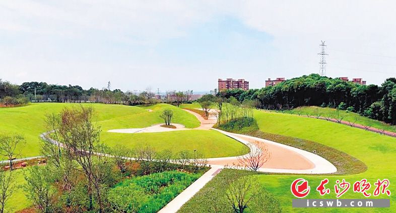 昨日，位于雨花区的仙姑岭公园一期正式建成开放，城南居民又多了一个休闲游玩的好去处。