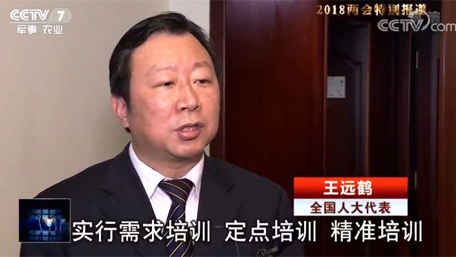 全国人大代表 王远鹤