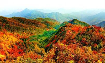 刘永照：初心照青山 白鹭来相伴
