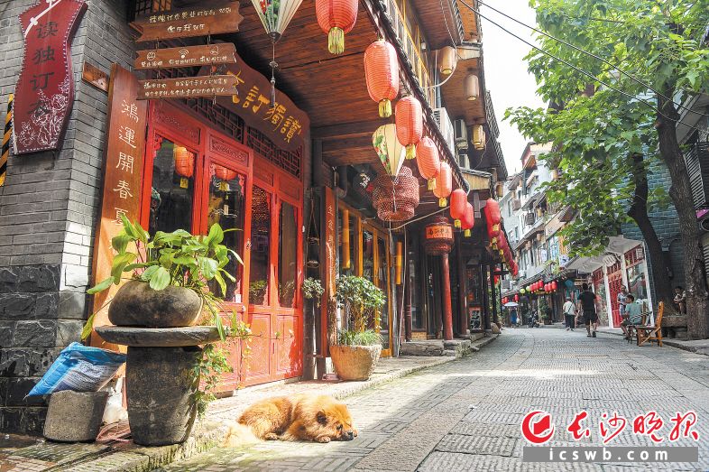 长沙休闲旅游节开幕式当天将同步启动“老街闲情”系列体验活动,邀你来长沙老街听戏、泡吧、品小吃、寻古迹,感受长沙闲情生活。图为都正街。 长沙晚报记者 邹麟 摄