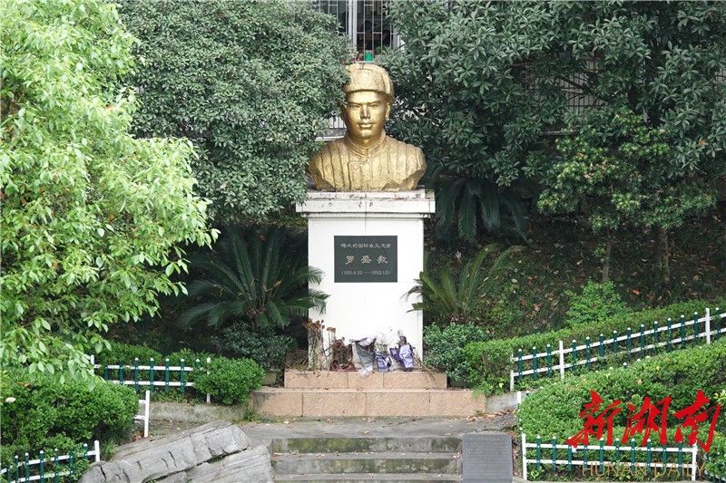 一片银杏 一树文明--记全国文明校园吉首大学师范学院附属小学 - 湘西 - 新湖南