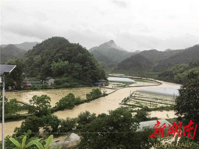 灵溪镇人口_最强暴雨来袭,暴雨 雷电 大风 信州区总动员