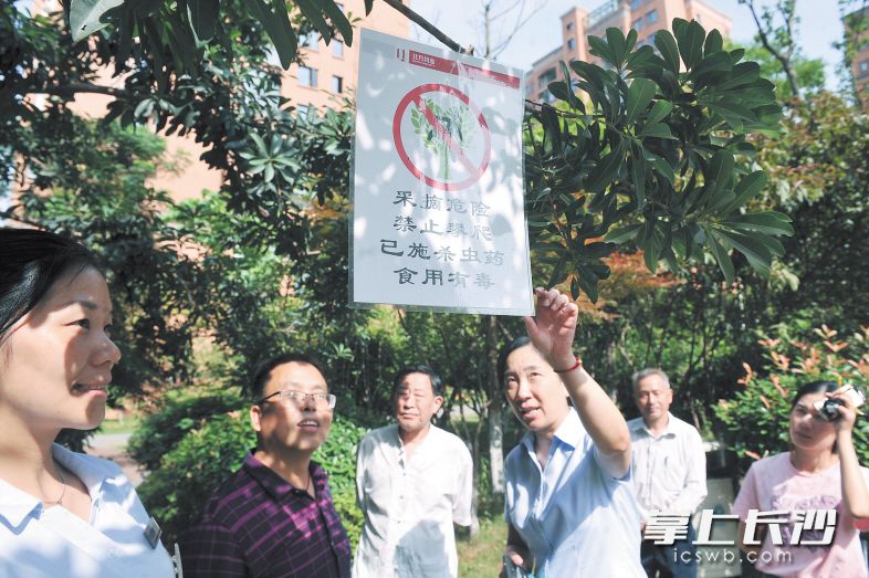 杨梅还在陆续成熟,物业公司在鑫远和城小区内的杨梅树上悬挂了温馨提示牌,提示“已施杀虫药,食用有毒”。5月28日,话友代表们在参观时,对这一做法表示肯定。