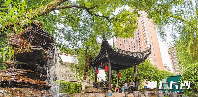 百果园街区绿意盎然，市民在程潜公馆前的小游园里话家常。 