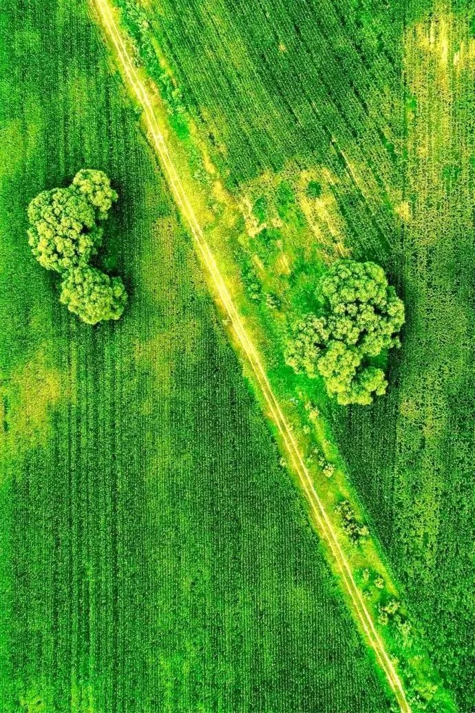 航拍中国:外媒眼中的最美风景