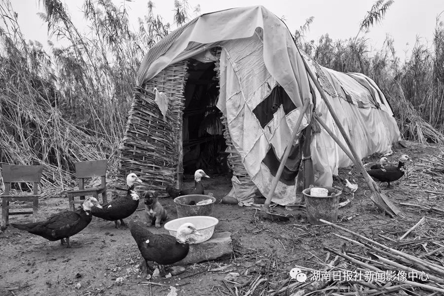 花垣县有多少人口_花垣县边城广场(3)