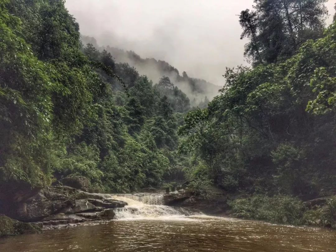 借母溪溪水清澈,空气中负氧离子含量很高 是沅陵人公认的