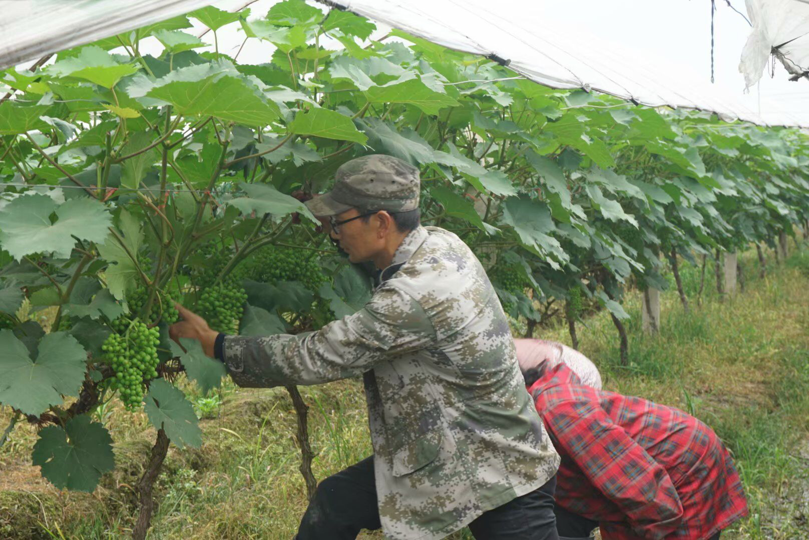 康路上一个也不能少!全省寻找最美阳光致富残