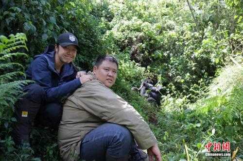 张昕宇和梁红在探访大猩猩。受访者供图